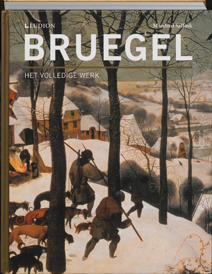 Bruegel, Manfred Sellink - Gebonden - 9789461300102