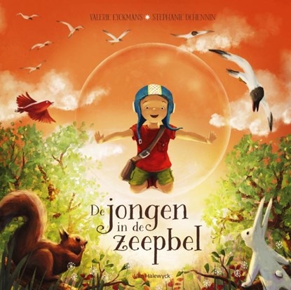 De jongen in de zeepbel, Eyckmans Valerie - Gebonden - 9789461316264