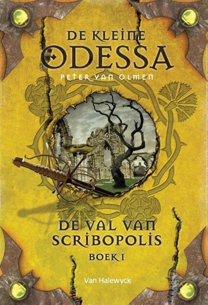 De val van Scribopolis Boek 1, Peter van Olmen - Gebonden - 9789461316387