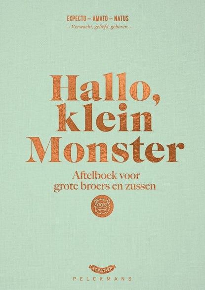 Hallo, klein monster, Dieter Coppens ; Tom Suykens - Gebonden - 9789461318176