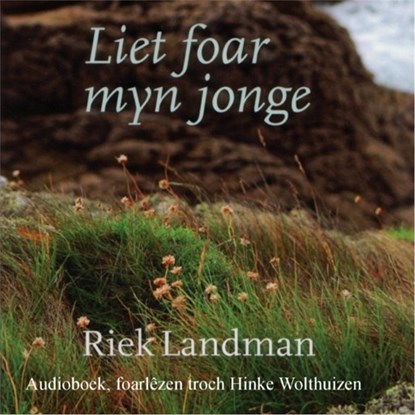Liet foar myn jonge, Riek Landman - Luisterboek MP3 - 9789461495037