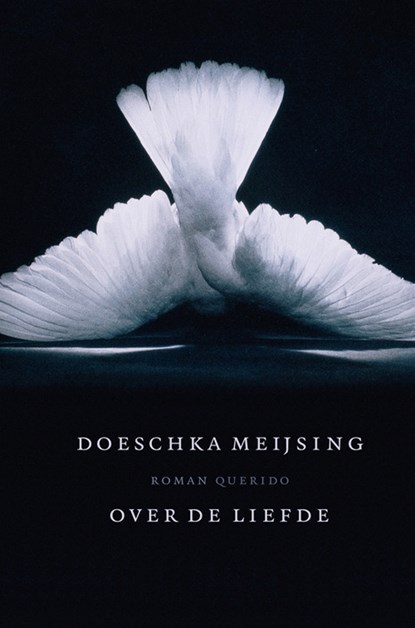 Over de liefde, Doeschka Meijsing - Luisterboek MP3 - 9789461495150