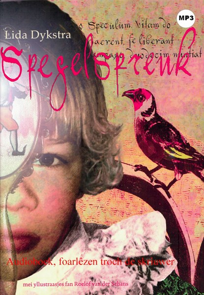 Spegelspreuk, Lida Dykstra - Luisterboek MP3 - 9789461496324