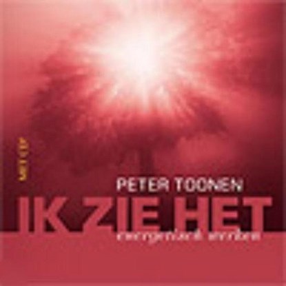 Ik zie het, Peter Toonen - Luisterboek MP3 - 9789461497277