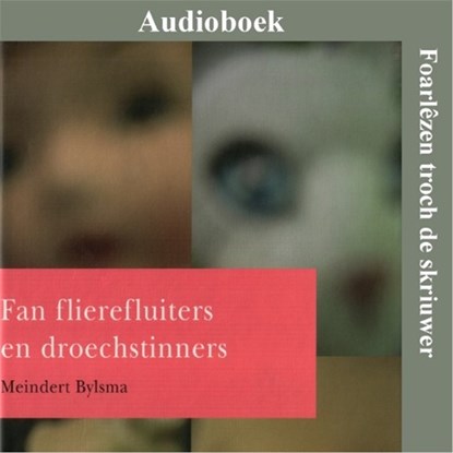 Fan flierefluiters en droechstinners, Meindert Bylsma - Luisterboek MP3 - 9789461499615