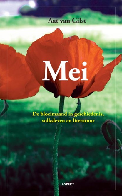 Mei, Aat van Gilst - Paperback - 9789461530998