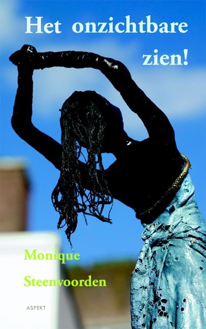 Het onzichtbare zien!, Monique Steenvoorden - Paperback - 9789461531575