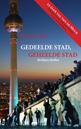 Gedeelde stad geheelde stad - Marianne Vogel - 9789461532497