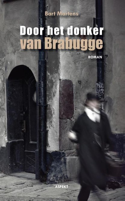 Door het donker van Brabugge, Bart Martens - Paperback - 9789461534217