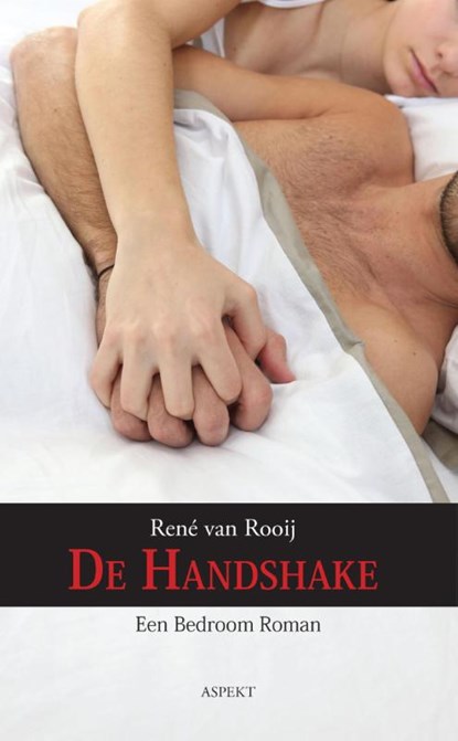 De handshake, René van Rooij - Paperback - 9789461536815