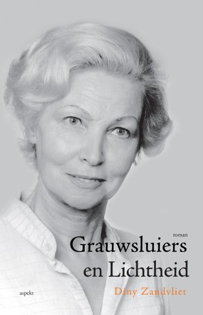 Grauwsluiers en lichtheid, Diny Zandvliet - Paperback - 9789461536983