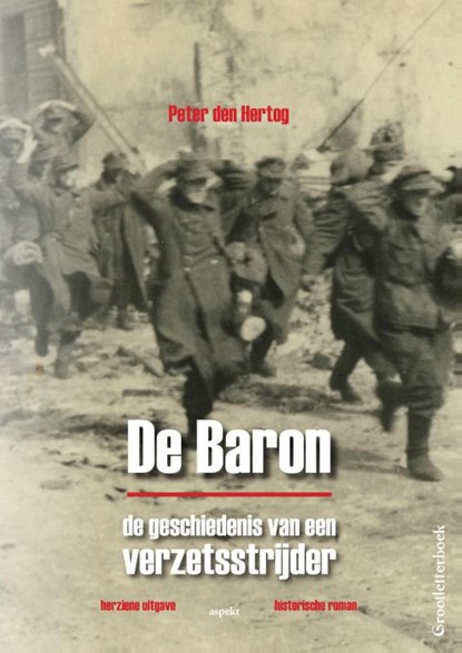 De baron GLB, Peter den Hertog - Paperback - 9789461537263