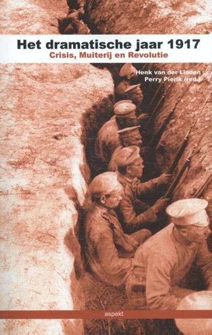 Het dramatische jaar 1917, Henk van der Linden ; Perry Pierik - Paperback - 9789461537485