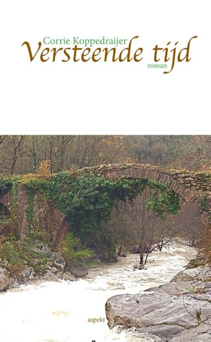 Versteende tijd, Corrie Koppedraijer - Paperback - 9789461537515