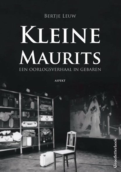 Kleine Maurits, Bertje Leuw - Paperback - 9789461538260