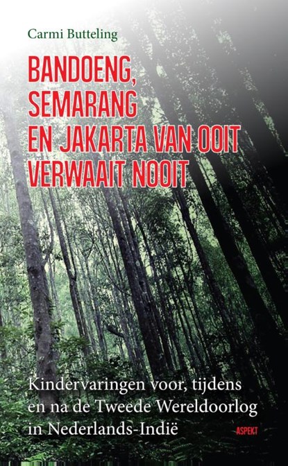 Bandoeng, Semarang en Jakarta van ooit verwaait nooit, Carmi Butteling - Paperback - 9789461538772