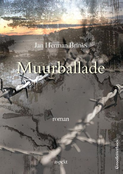Muurballade, Jan Herman Brinks - Paperback - 9789461539571