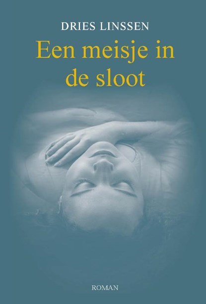 Een meisje in de sloot, Dries Linssen - Paperback - 9789461550828