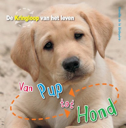 Van pup tot hond, Camilla de la Bedoyere - Gebonden - 9789461750174