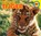 Tijger, Steve Macleod - Gebonden - 9789461750884