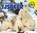 IJsbeer, Steve Macleod - Gebonden - 9789461751485