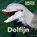 Dolfijn, Stephanie Turnbull - Gebonden - 9789461752550