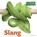 Slang, Stephanie Turnbull - Gebonden - 9789461752628
