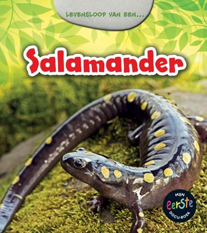 Salamander, Charlotte Guillain - Gebonden - 9789461753076