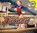 Turnen, Aaron Carr - Gebonden - 9789461753434