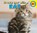 Kat, Aaron Carr - Gebonden - 9789461753731