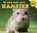 Hamster, Aaron Carr - Gebonden - 9789461753748