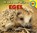 Egel, Aaron Carr - Gebonden - 9789461753755