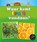 Waar komt fruit vandaan?, Linda Staniford - Gebonden - 9789461755650
