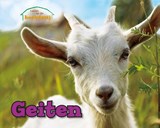 Geiten - Sheri Clay - 9789461755971