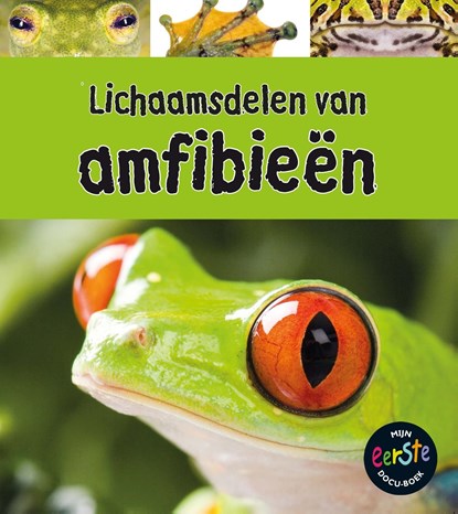 Lichaamdelen van amfibieën, Clare Lewis - Ebook Adobe PDF - 9789461756527
