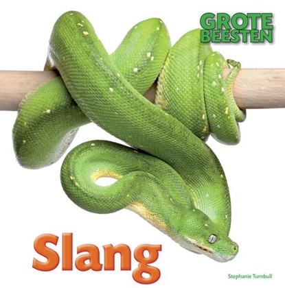 Slang, Stephanie Turnbull - Ebook Adobe PDF - 9789461759221
