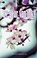 De geur van inkt, Ella Molen - Paperback - 9789461851727
