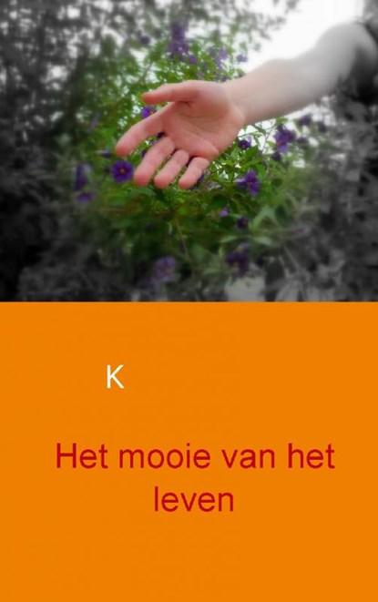 Het mooie van het leven, Kim Brouwer - Paperback - 9789461930187