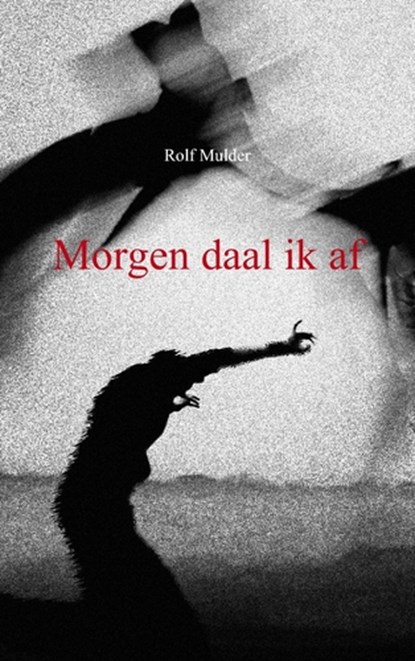 Morgen daal ik af, Rolf Mulder - Paperback - 9789461930330