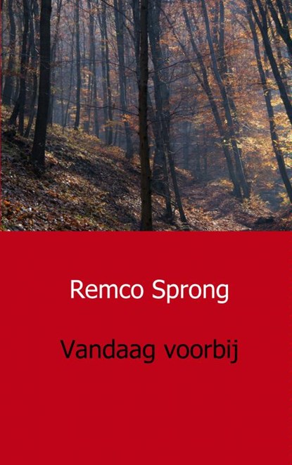 Vandaag voorbij, Remco Sprong - Paperback - 9789461930811
