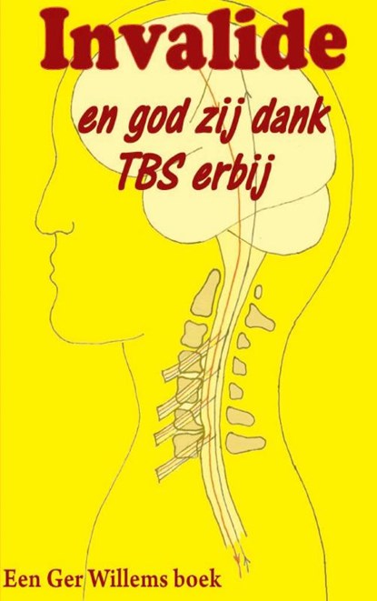 Invalide en godzijdank TBS erbij, Ger Willems - Paperback - 9789461931337