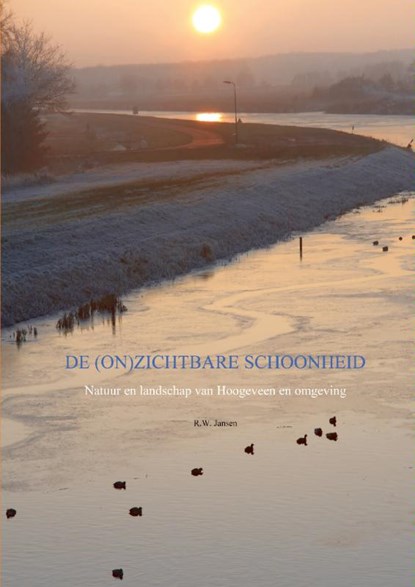 De (on)zichtbare schoonheid, Ronald Wilfred Jansen - Paperback - 9789461931689