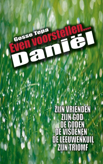 Daniel, Gosse Tepa - Paperback - 9789461933393