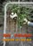 Kjeld de Voetbalheld, Kees Lintermans - Paperback - 9789461934413