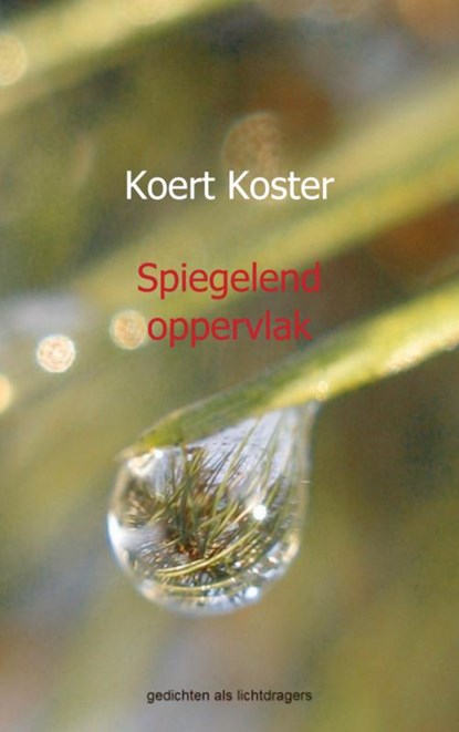 Spiegelend oppervlak, Koert Koster - Paperback - 9789461935212