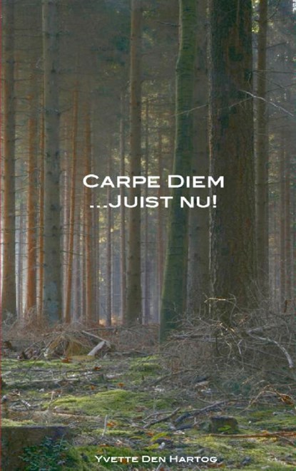 Carpe Diem juist nu!, Yvette den Hartog - Paperback - 9789461935458