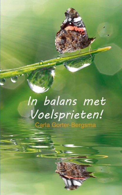 In balans met voelsprieten, Carla Gorter-Bergsma - Paperback - 9789461936912