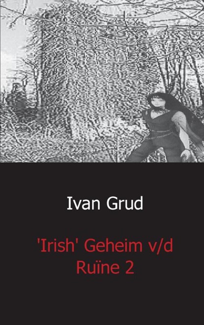 Irish het geheim v/d ruine 2, Ivan Grud - Paperback - 9789461936974