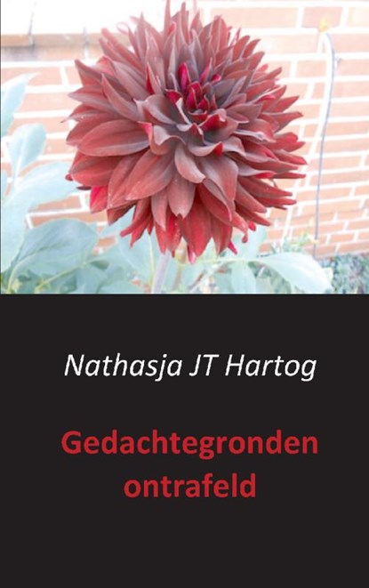 Gedachtegronden ontrafeld, Nathasja JT Hartog - Paperback - 9789461937315