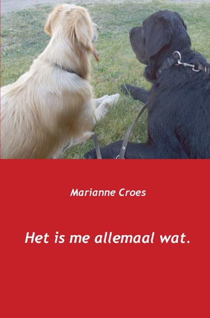 Het is me allemaal wat, Marianne Croes - Paperback - 9789461938145
